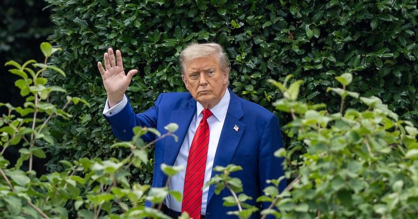  Trump, 79, Touts CBD for Seniors as Health Battle Rages