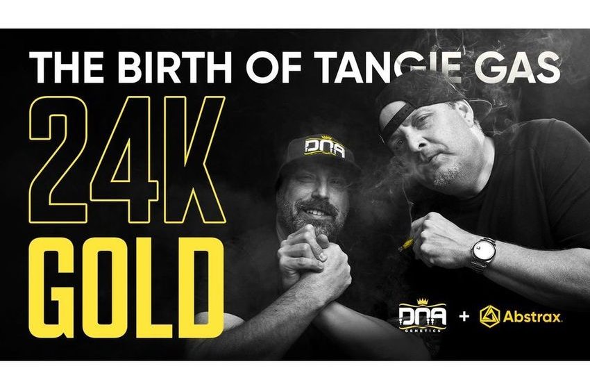Abstrax and DNA Genetics Unveil Official 24K Gold Signature Series Terpene Profile