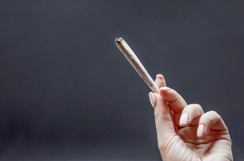  First Study Shows Direct Evidence That Cannabis Impairs Human Egg Quality