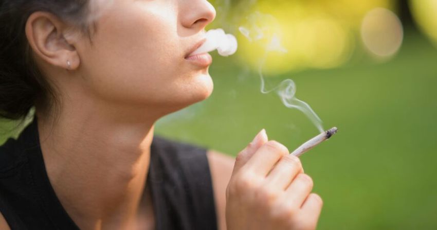  Marijuana may cause chromosomal defects in human egg cells, study finds