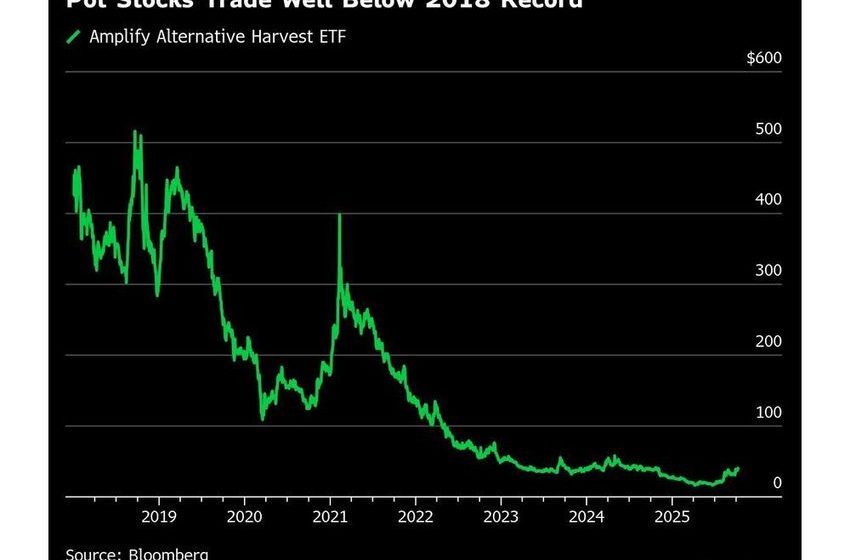 Pot Stocks Get New Bull at Canaccord on Revived Regulatory Hopes