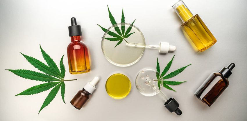 Cannabis boom in South Africa and Zimbabwe is good for wealthy investors, bad for small farmers