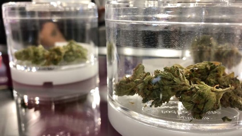 Cannabis revenue outsmokes liquor sales in Manitoba when it comes to revenue growth