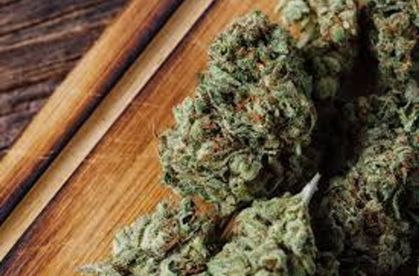  Mainstream Rights About Cannabis