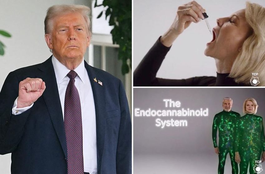  Cannabis stocks surge after Trump posts video touting Medicare coverage for CBD