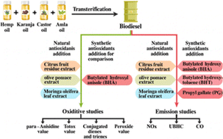  Oxidative stability and emission profiles of biodiesel from hemp, karanja, castor, and amla oils: impact of natural antioxidants