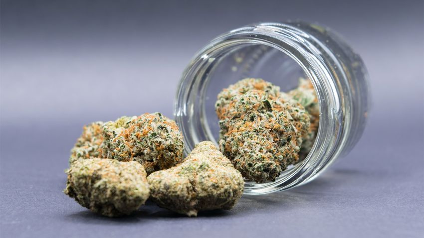  Cannabis Product Labels Often Significantly Misrepresent THC Potency, According To Recent Study