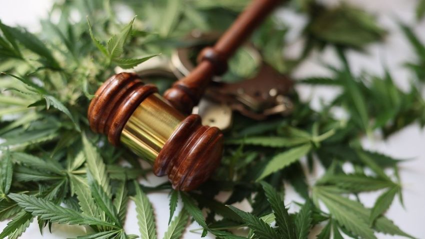 Florida appeals court rules smell of marijuana not enough for car searches