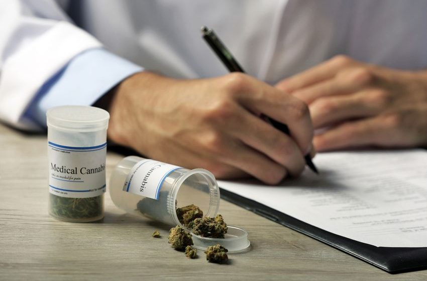 Tilray Brands (TLRY) Climbs 8% Ahead of Cannabis, CBD Policy Decision