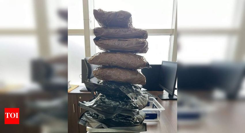  Customs seize 3kg of hydroponic marijuana worth Rs 3.2 crore at Bhubaneswar airport