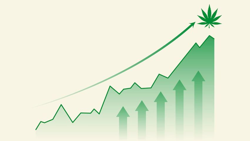  Cannabis stocks are on a roll: Here’s how to play the surge