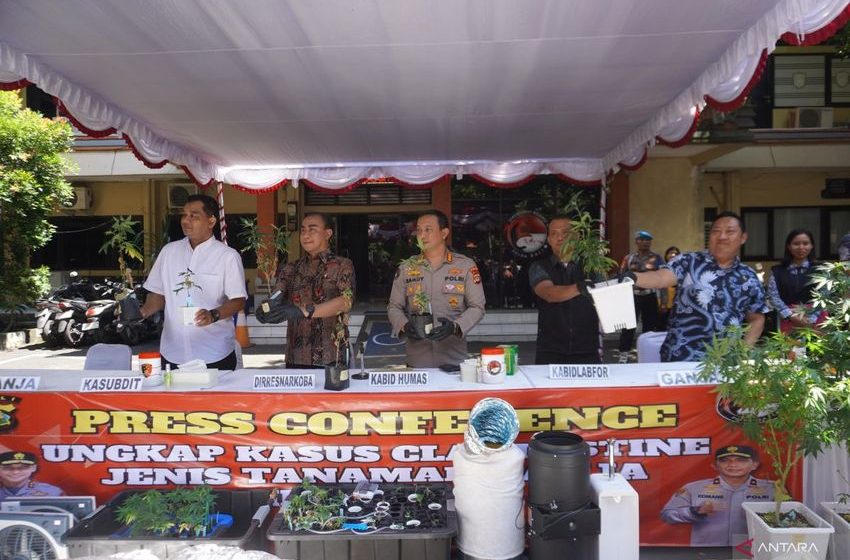  Bali police hunt foreigner linked to hydroponic cannabis farm