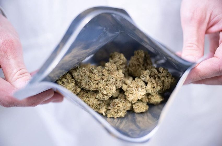  Cannabis Tech Platform Powers Germany’s Push Toward A Connected Market