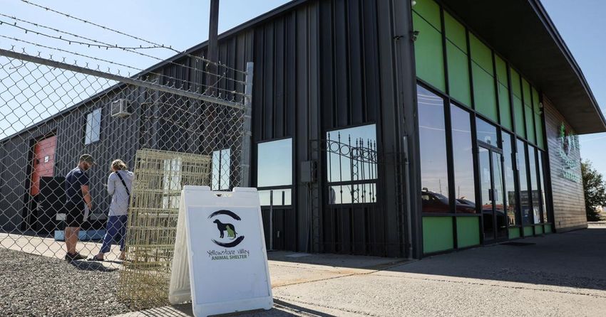  Yellowstone Valley Animal Shelter shares a home with Lionheart Cannabis after evacuation