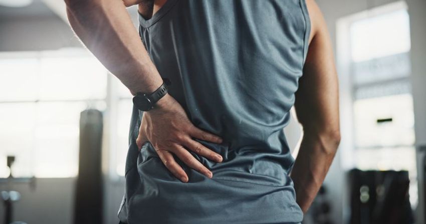  New Hope for Chronic Back Pain Lies in Cannabis