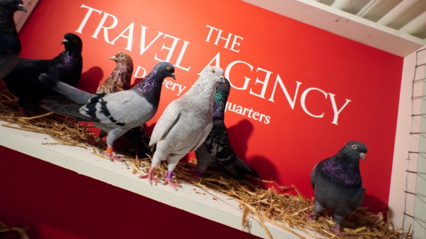  This NYC-based cannabis supplier will now send you weed via carrier pigeon