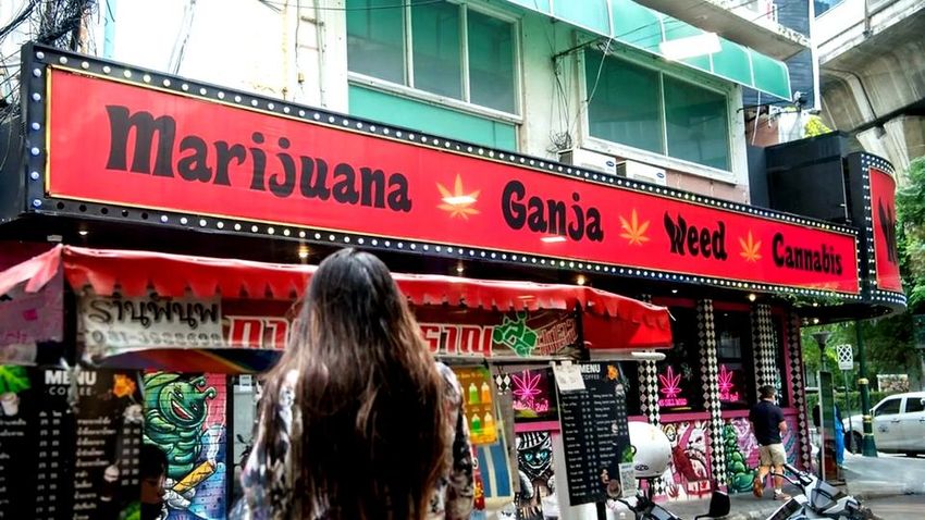 Thai weed laws under review once again