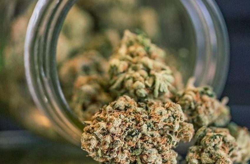 Man (50s) arrested as more than €114k of cannabis seized in Cork and Waterford