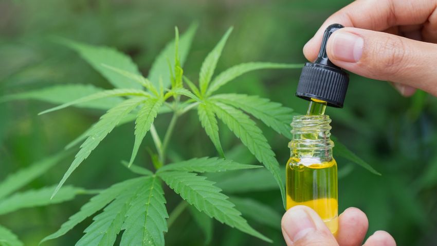 Cannabis works better than opioids for back pain, in two European studies