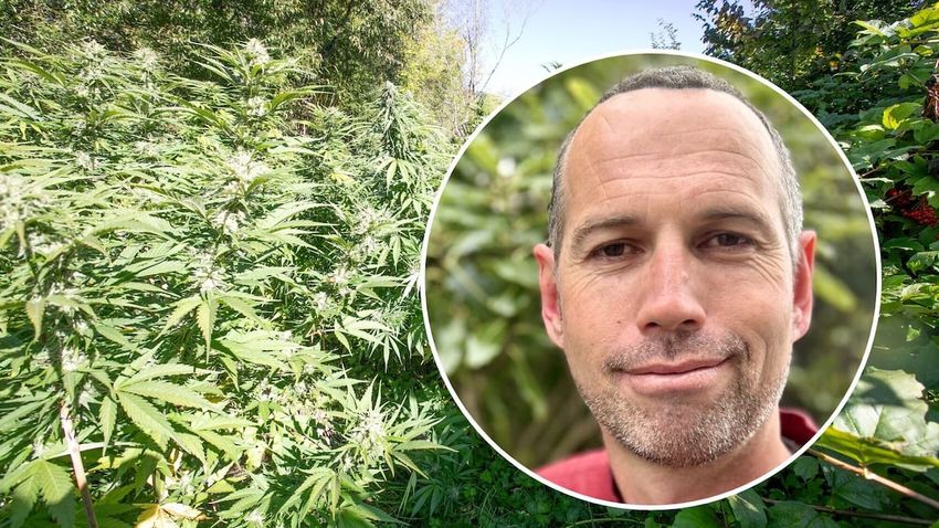 Judge spares ex-Green politician Aaryn Barlow prison over large-scale cannabis cultivation
