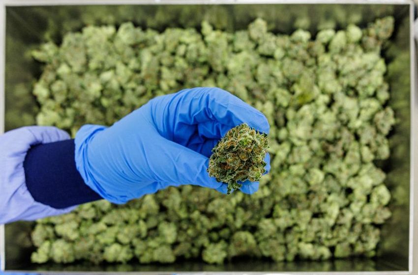  Germany Is Seeking Stricter Rules For Medical Cannabis To Crack Down On Online Prescriptions