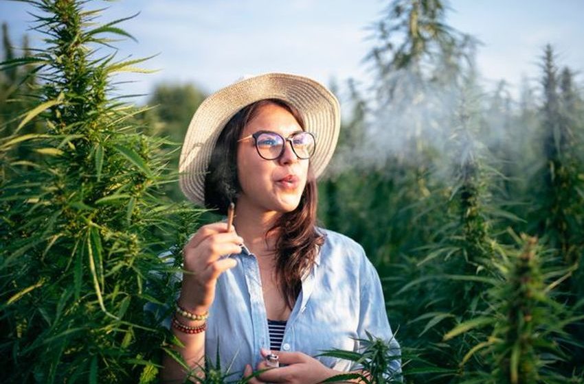  Behind the smokescreen of cannabis ‘cool’ lurks a crisis for our mental health