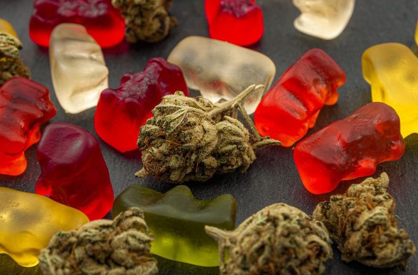  Cannabis is in, booze is out at this year’s Thanksgiving table