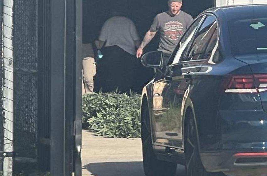  Cannabis crop found inside Cranbourne factory