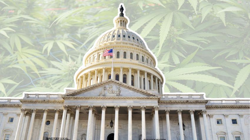  Unpacking the federal ban on certain hemp products included in deal to end shutdown