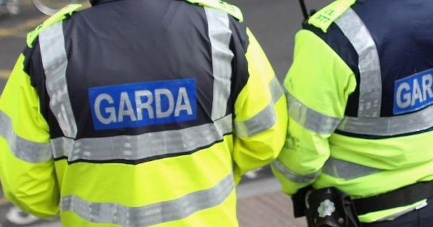  Woman (60s) arrested after gardaí seize €110,000 worth of cannabis in house raid