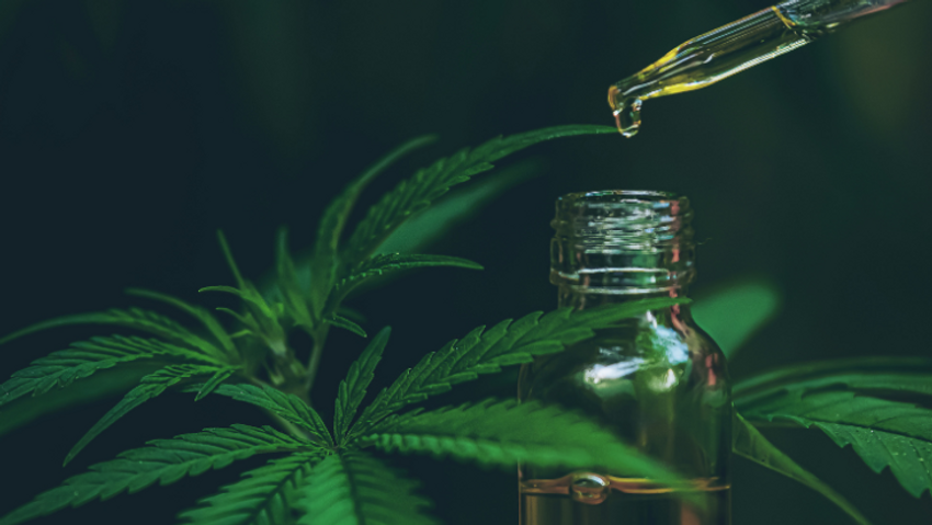 Clinical Trial: Daily Use of Plant-Derived Cannabis Extracts Improves Cognition in Dementia Patients