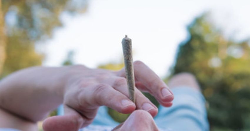  Public health cannabis messages must highlight mental health risks – Psychiatrist