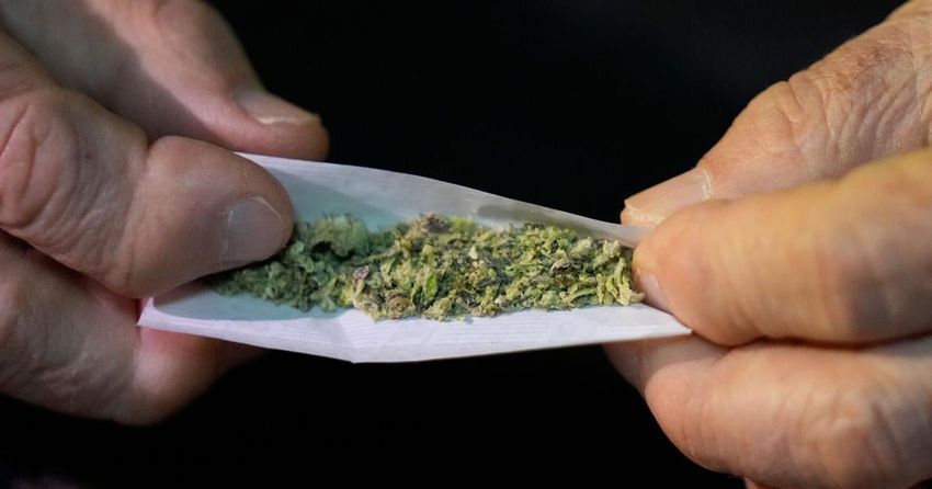  They relied on marijuana to get through the day. But then days felt impossible without it