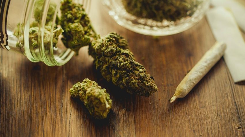  Cannabis Use Is Linked to Epigenetic Changes, Scientists Discovered