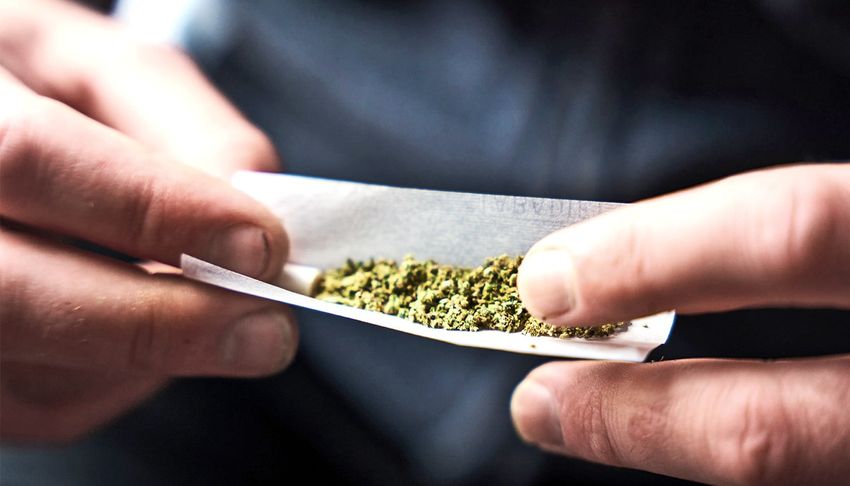  Smoking weed may temporarily cut how much you drink
