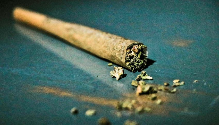  Weed and processed food combo may raise heart health risks