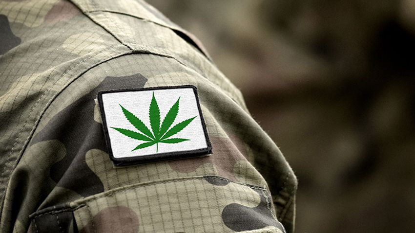  Veterans Are Still Being Denied Medical Cannabis Access