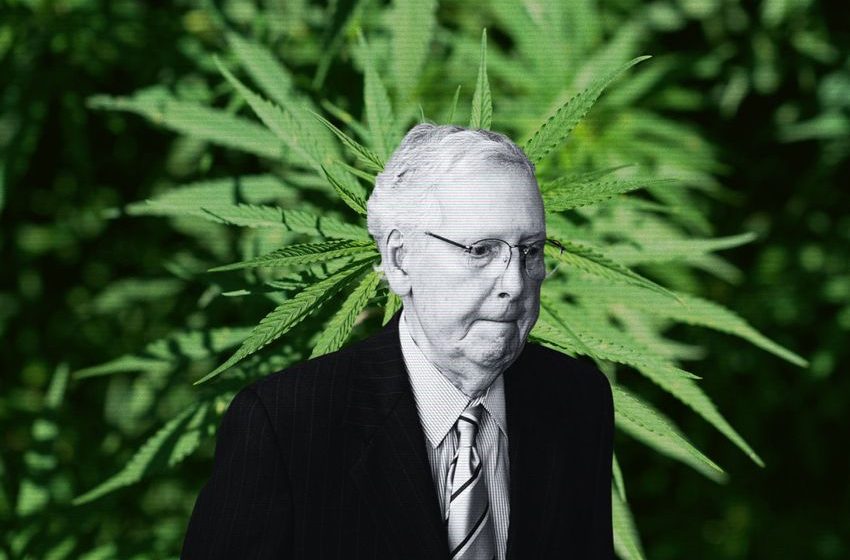  Why Mitch McConnell helped kill the hemp buzz
