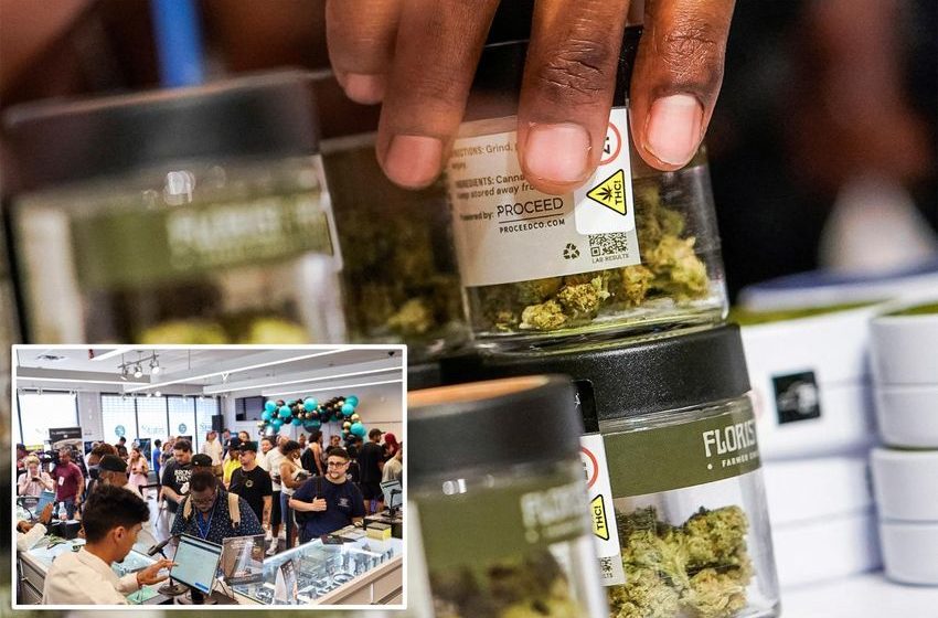  Green deal! NYC pot merchants can offer discounts on cannabis products