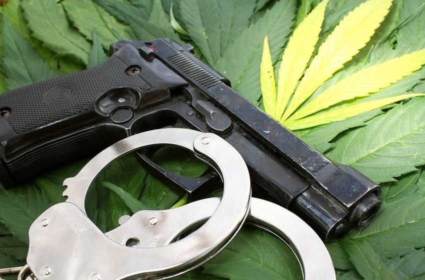  SAF, Other Groups File Brief With Supreme Court In Marijuana User Gun Ban Challenge