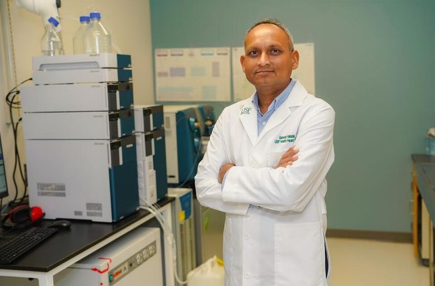  USF Health Study Warns Local Residents: Combining Cannabis Use and Processed Foods May Increase Heart Risks – NewsBreak