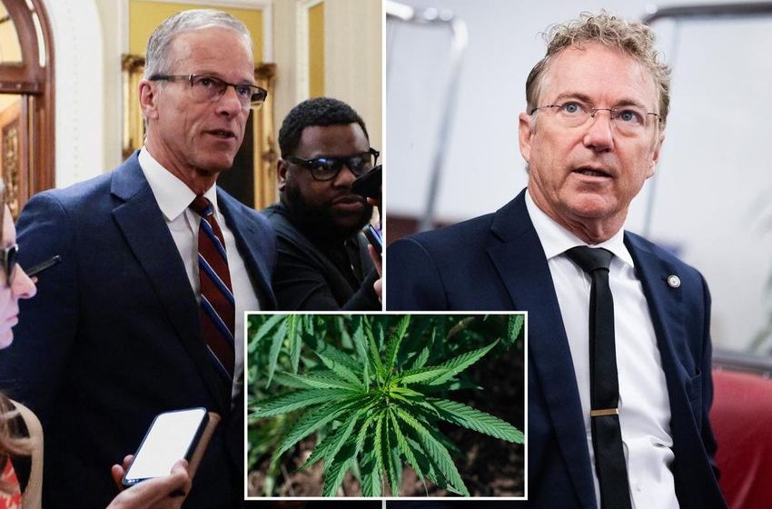  Proposed hemp ban tucked into federal funding bill could stall end to gov’t shutdown