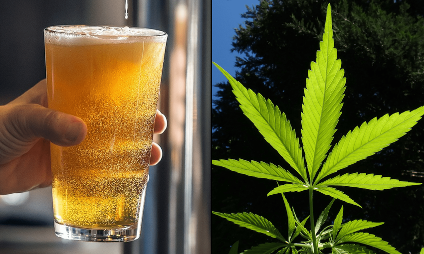  Beer Industry Trade Group Calls Out Hemp THC Sector’s ‘Bad Actors’ For Allegedly Marketing To Children – Marijuana Moment