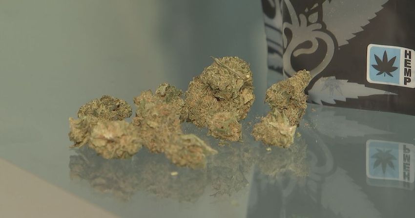  ‘Disguised as regulation’: Hemp businesses say bill to reopen government would destroy industry