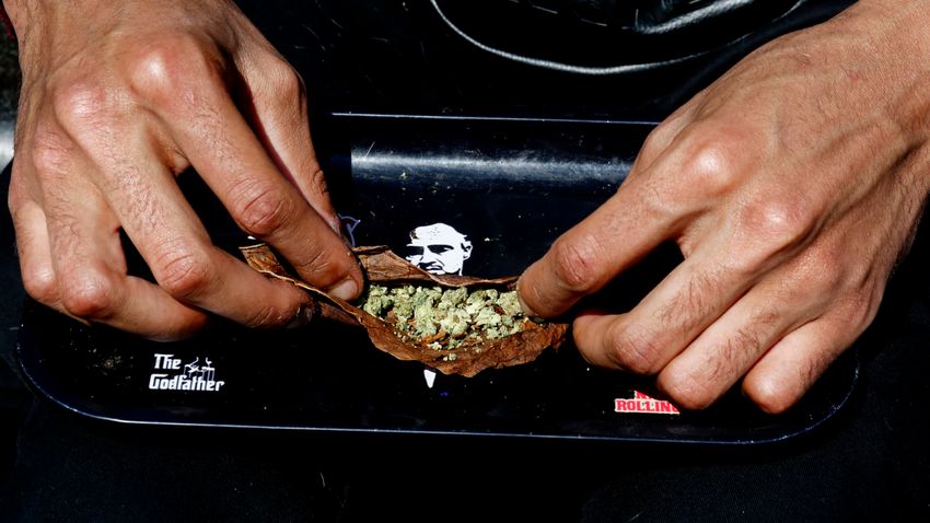 ‘Trump effect’ raises hopes for cannabis rally as investors bet on federal reforms, softer marijuana stance