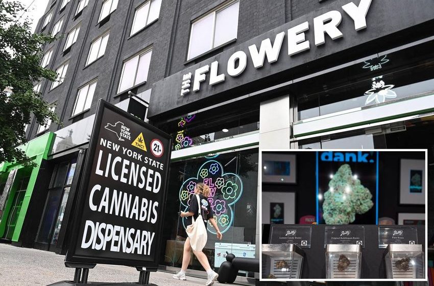  Marijuana prices plummet 17% in New York as legal market ramps up: ‘Competition is high’