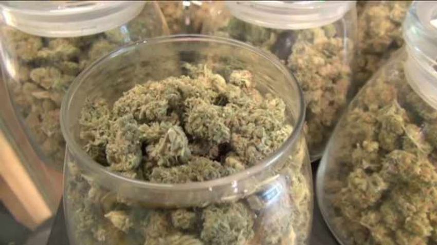  Recreational marijuana amendment headed toward review by Florida Supreme Court