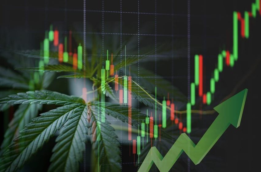  Cannabis stocks soar 18% on promising Trump policy move