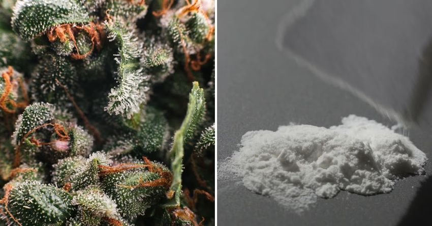  Marijuana is Lowered to Schedule 3 in the US as Fentanyl is Declared a WMD