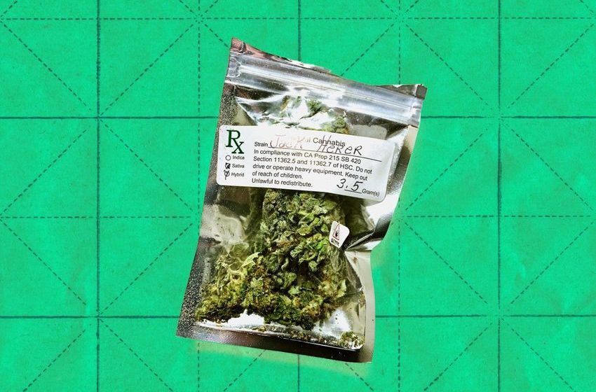  Huge Study Finds Very Worrying Results for Medical Marijuana Patients